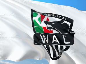 华体会体育官网-“腰旗橄榄球：东部新区赛场充满热血与战术”  第2张